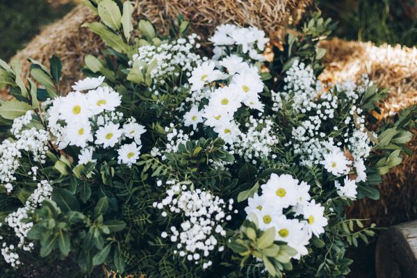 HORTÈNCIES_Portes Obertes Can Riera-0004