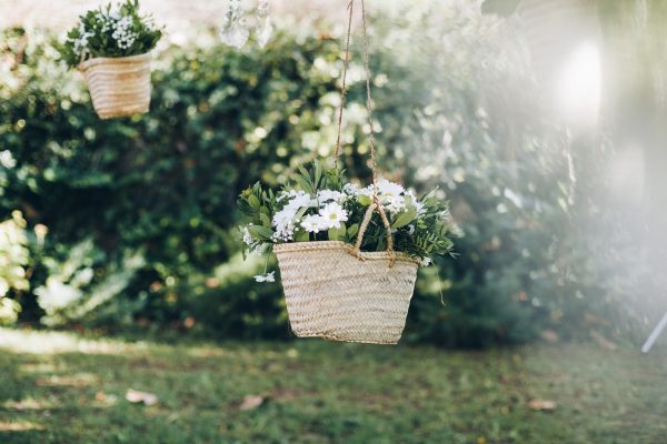 HORTÈNCIES_Portes Obertes Can Riera-0005