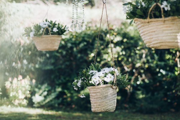 HORTÈNCIES_Portes Obertes Can Riera-0006