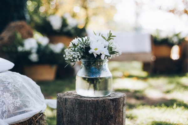 HORTÈNCIES_Portes Obertes Can Riera-0008