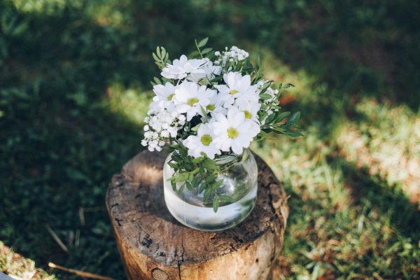 HORTÈNCIES_Portes Obertes Can Riera-0013