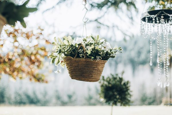 HORTÈNCIES_Portes Obertes Can Riera-0156